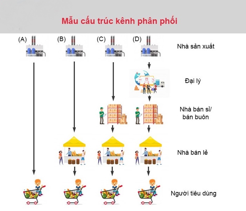 Vinmart Vinmart phân phối mẻ rau sạch đầu tiên của Vingroup  Doanh  nghiệp  Vietnam VietnamPlus
