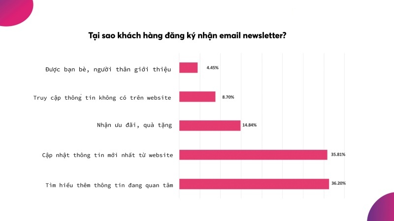 Email Newsletter