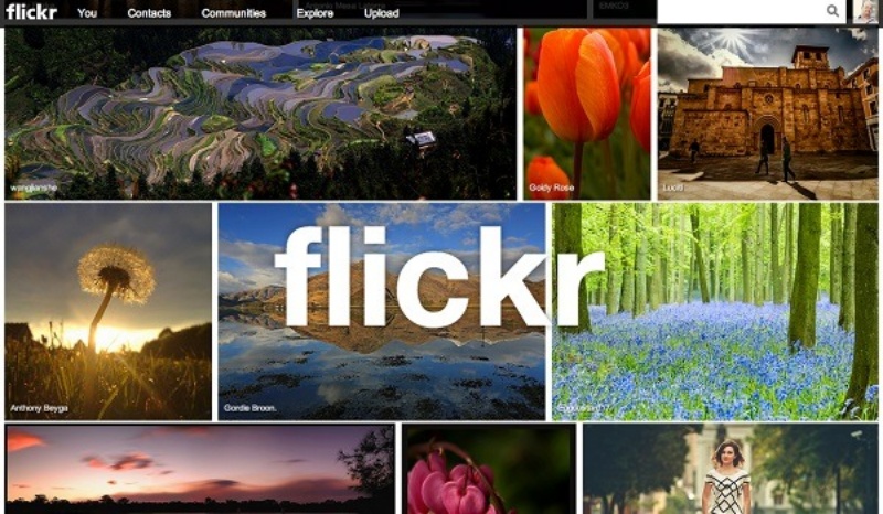 Bạn có thể tìm hình ảnh trên Flickr Creative Commons, Google, 9gag,…