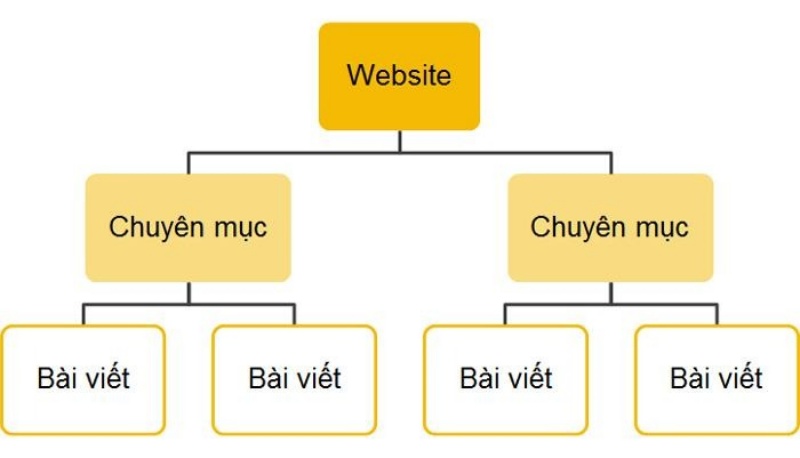 Category giúp các bạn chia loại thông tin thành một danh mục cùng chủ đề