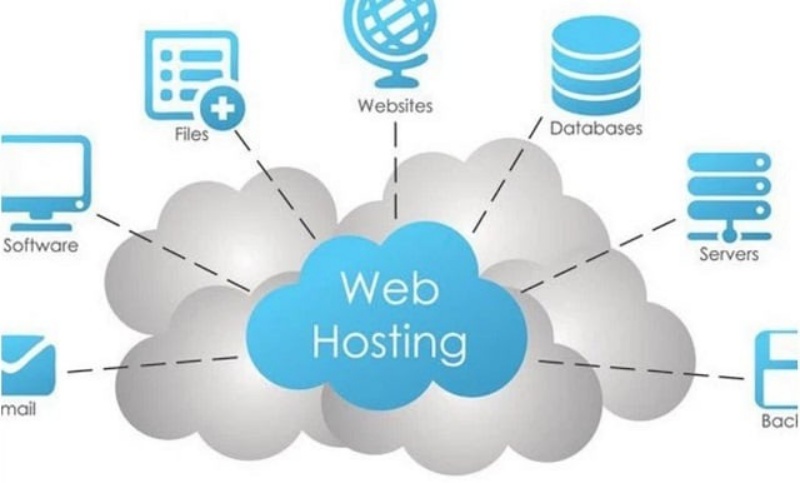 Web hosting – dịch vụ lưu trữ web