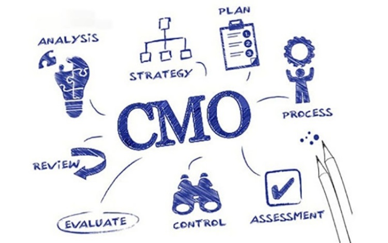 tim-hieu-khai-niem-marketing-director-va-ky-nang-marketing-director-la-gi