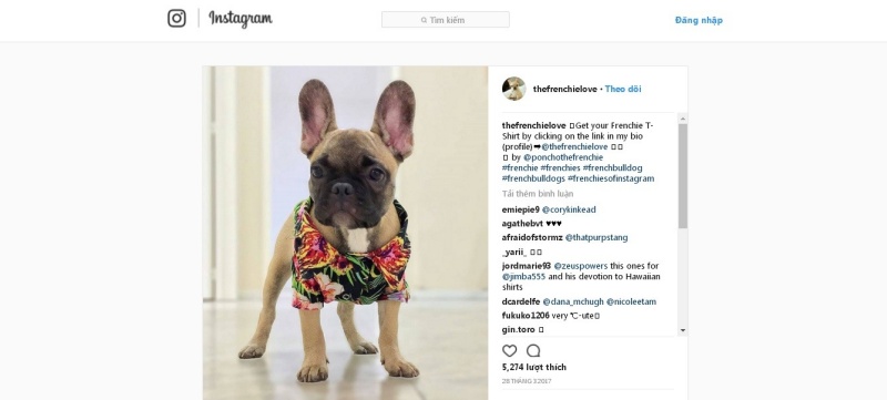 tuyet-chieu-su-dung-hashtag-tren-instagram