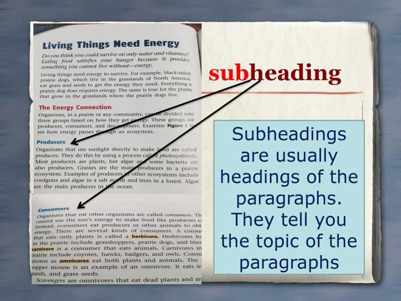 Subheading là gì? Tầm quan trọng của nó trong SEO